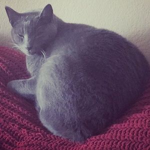 Meet your Posher, Michelle